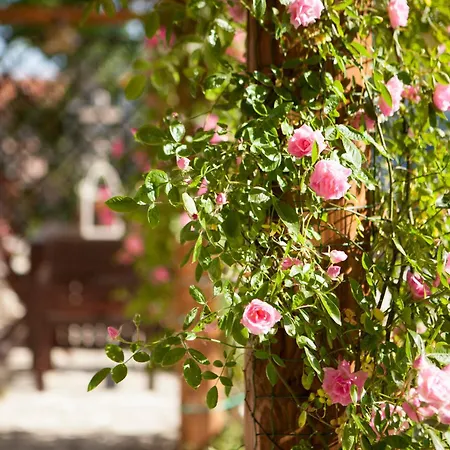 Casa S.paolo Vila Rimini