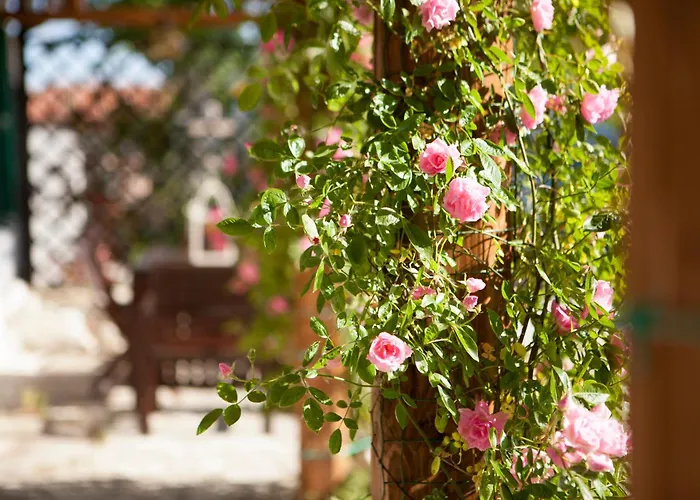 Casa S.paolo Villa Rimini