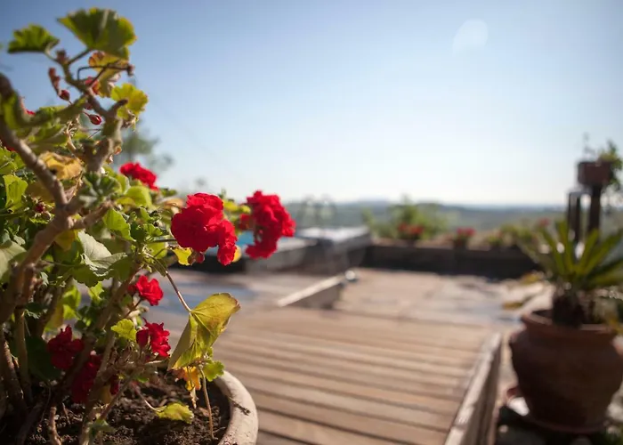 Βίλα Casa S.paolo Ρίμινι